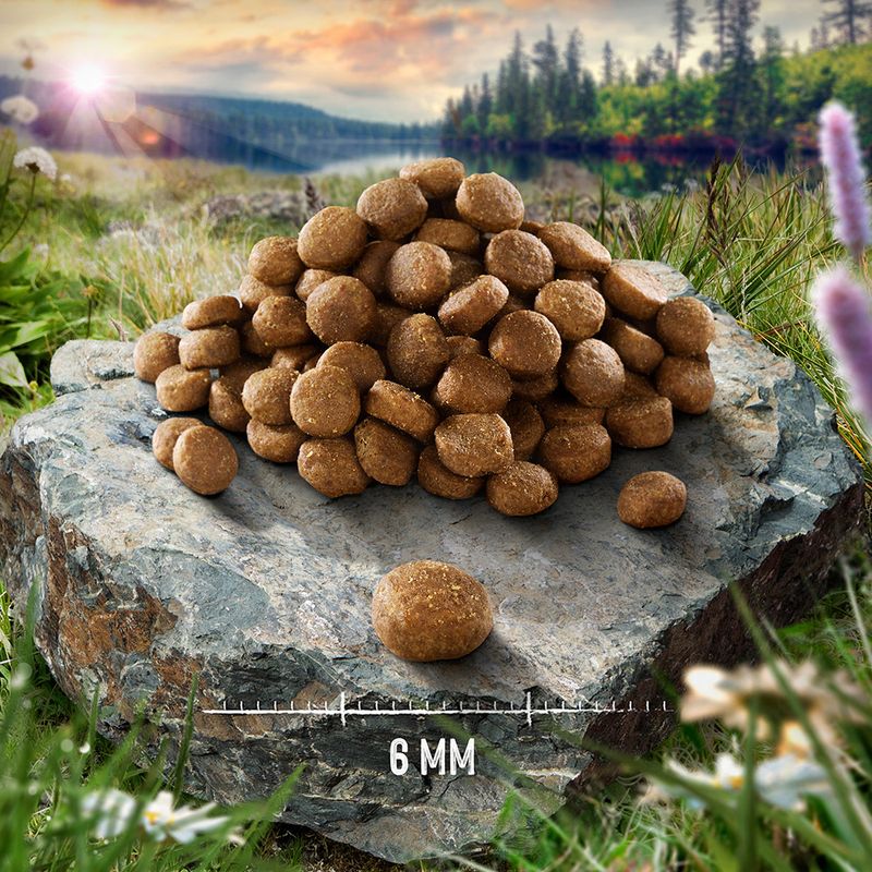 Purizon Single Meat Economy Pack Chicken with Camomile Blossoms (2 x 6.5kg)