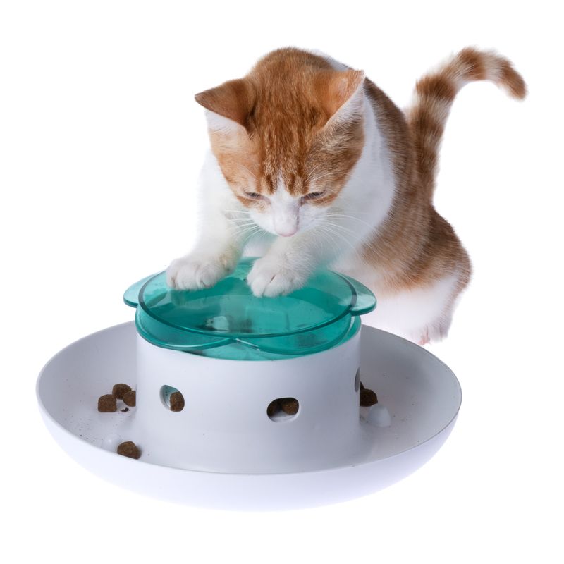 TIAKI Daisy Interactive Food Dispenser 1 Dispenser