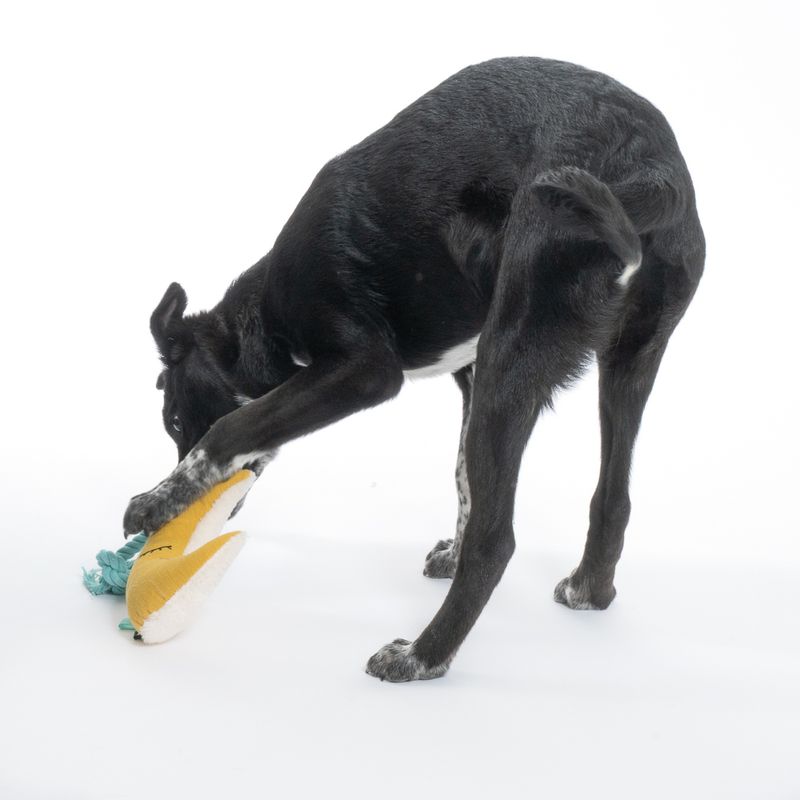 TIAKI Junior Dog Toy Moon 1 Toy