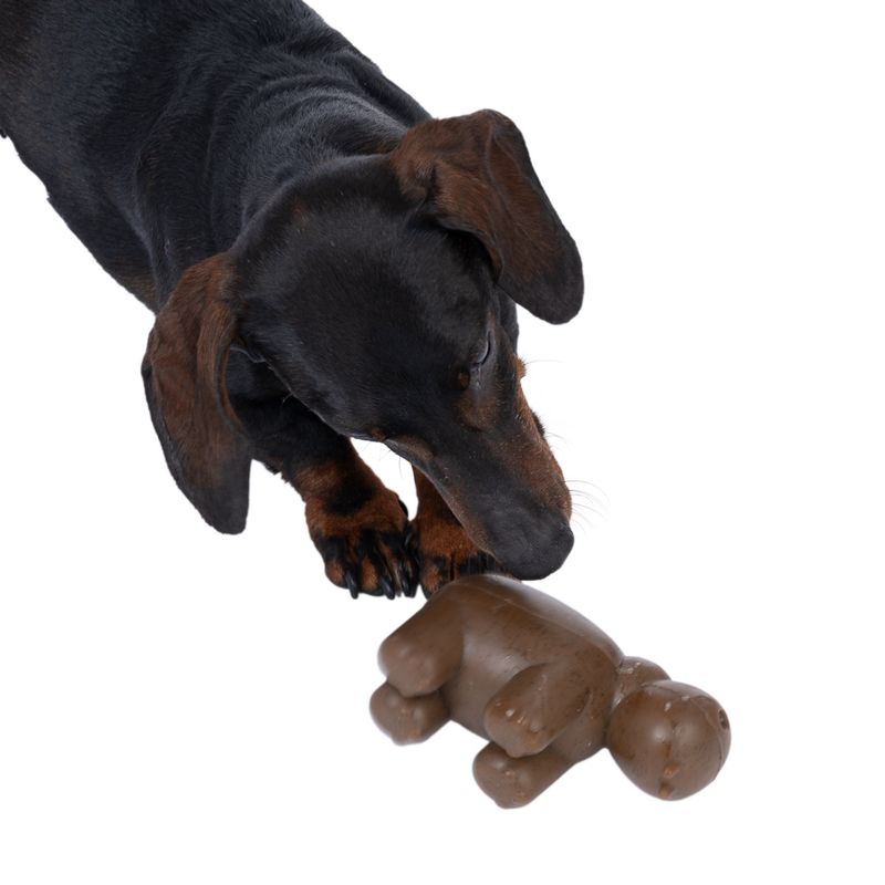 TIAKI Hippo Squeaky Chew Toy 13.5 x 6 x 8 cm (L x W x H)