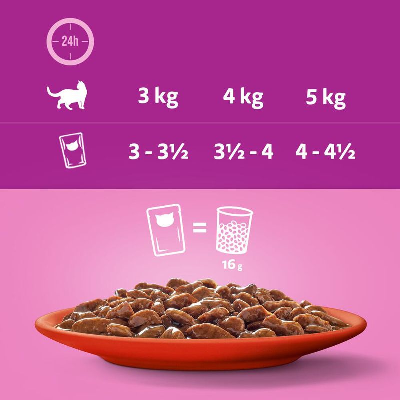 Whiskas 1+ Adult Pouches 12 x 85g Poultry Feasts in Gravy