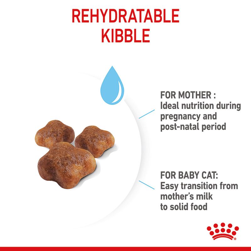 Royal Canin Mother & Babycat 400g