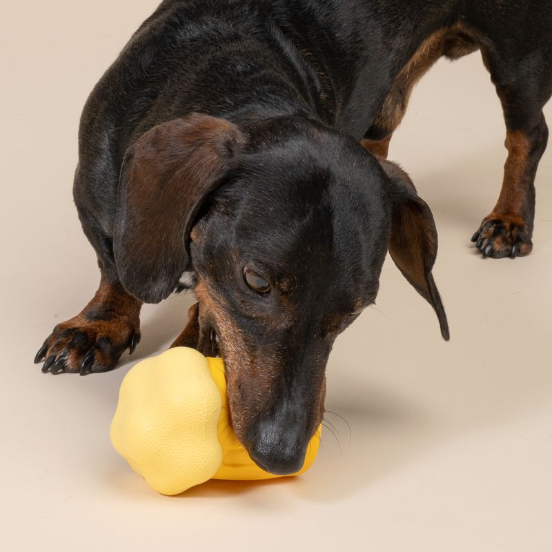 TIAKI Beer Mug Water Chew Toy 7.4 x 7.2 x 10.5 cm (L x W x H)