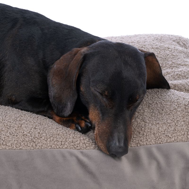TIAKI Teddy Dog Mattress - Taupe Size M: 70 x 50 x 10 cm (L x W x H)