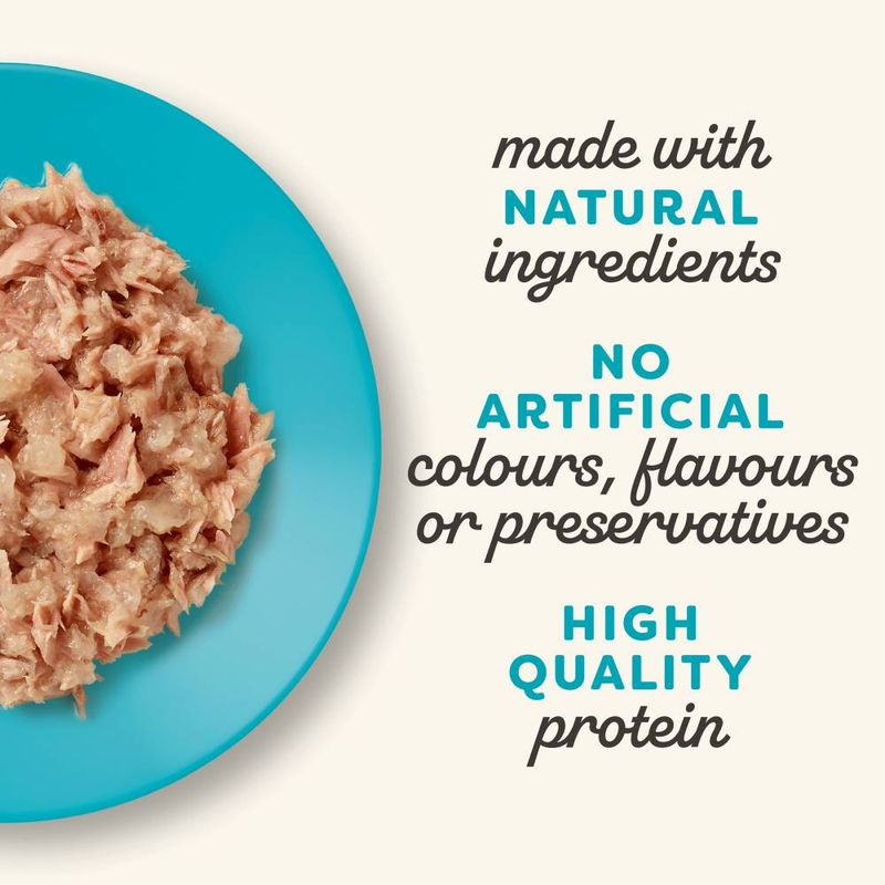 Applaws Cat Food 70g in Jelly Tuna Fillet with Salmon (6 x 70g)