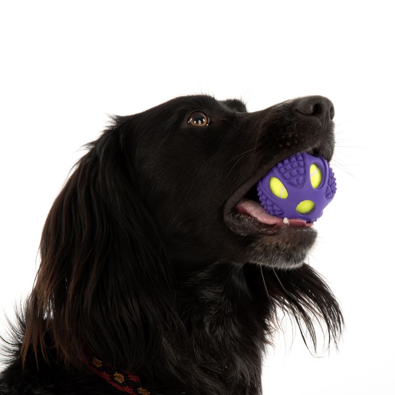 2-in-1 Rubber Tennis Ball Dog Toy L: Diameter 10cm