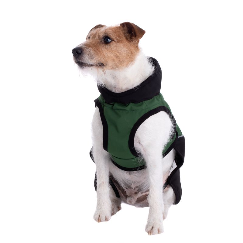 Soft Shell Dog Coat - Green Approx. 30cm Back Length