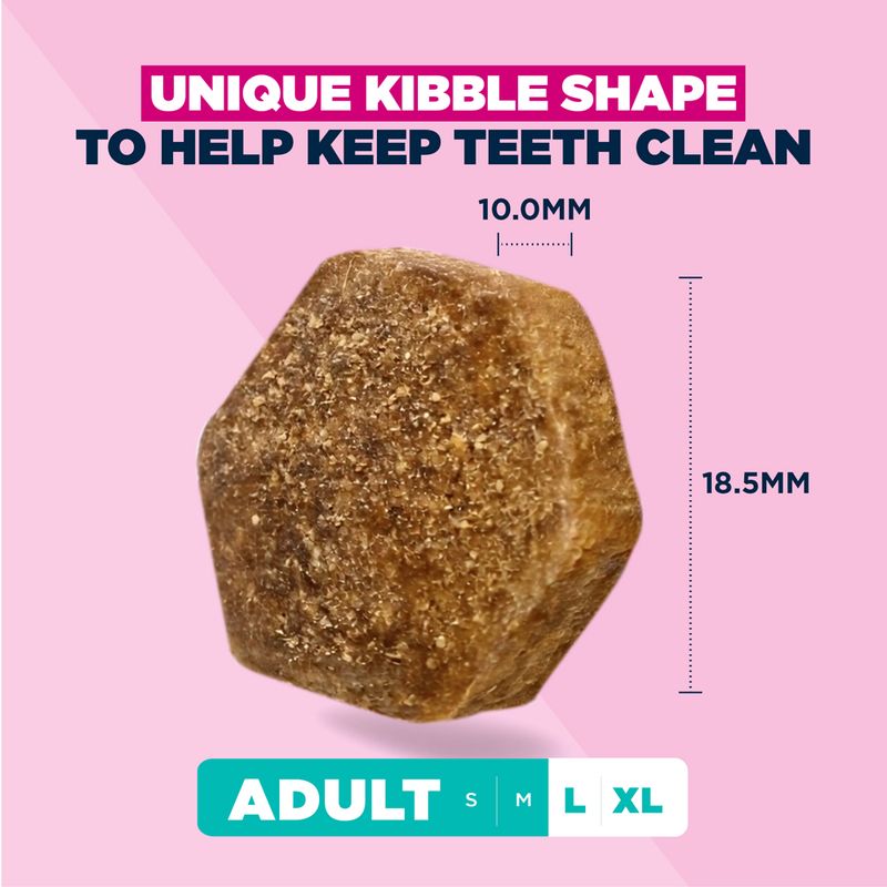 Eukanuba Premium Nutrition Adult Large & Giant Breed Chicken 15kg