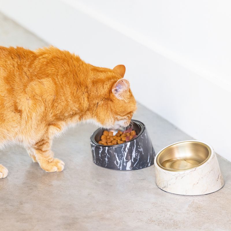 Designed by Lotte Vita Melamine Cat Bowl – Black 2 x 160ml, 13.5cm (diameter)