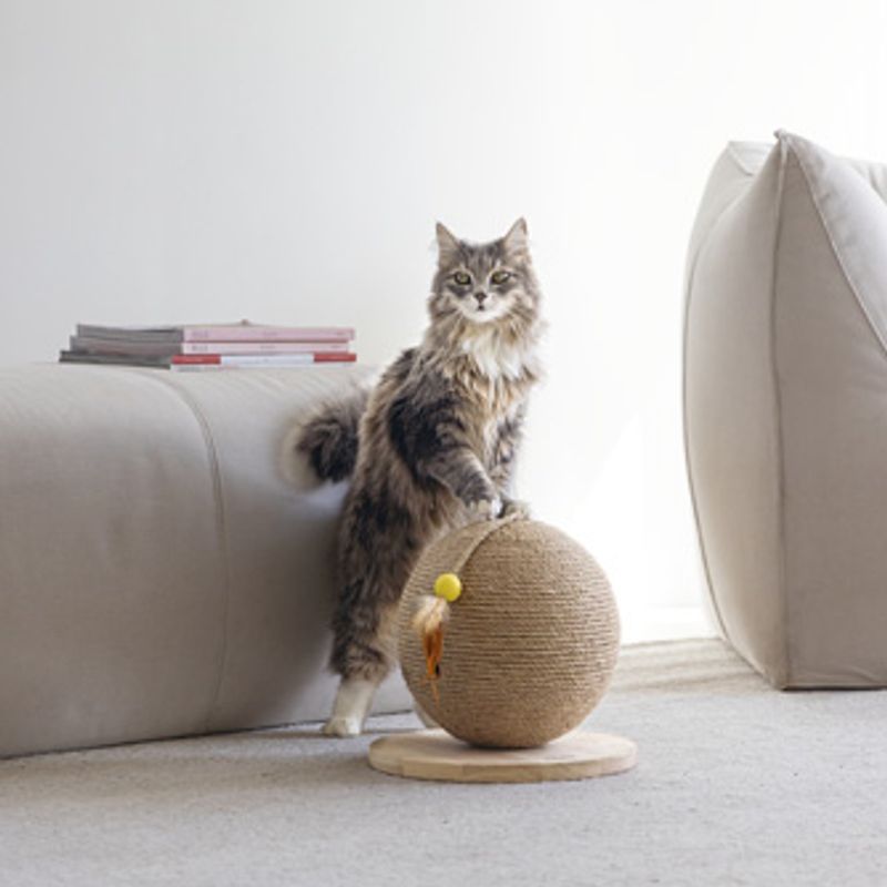 Designed by Lotte Balty XL Wooden Scratching Ball 30 x 31.5cm (diameter x H)