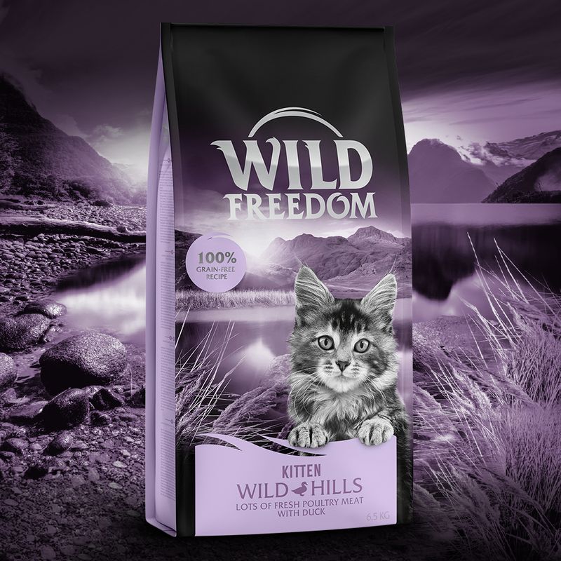 Wild Freedom Kitten \