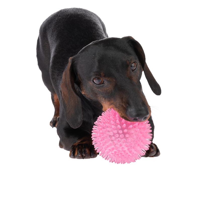 TIAKI Dog Toy Spiky Ball Ø 8,3 cm