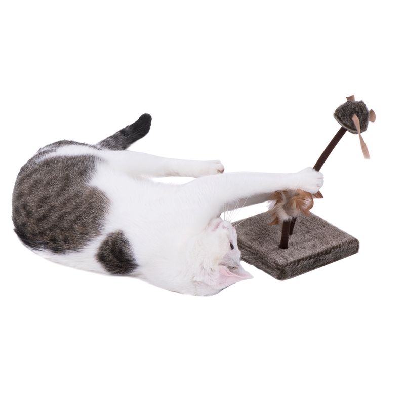 Wild Mouse Cat Toy Set with Sounds & LEDs 2 Piece Set