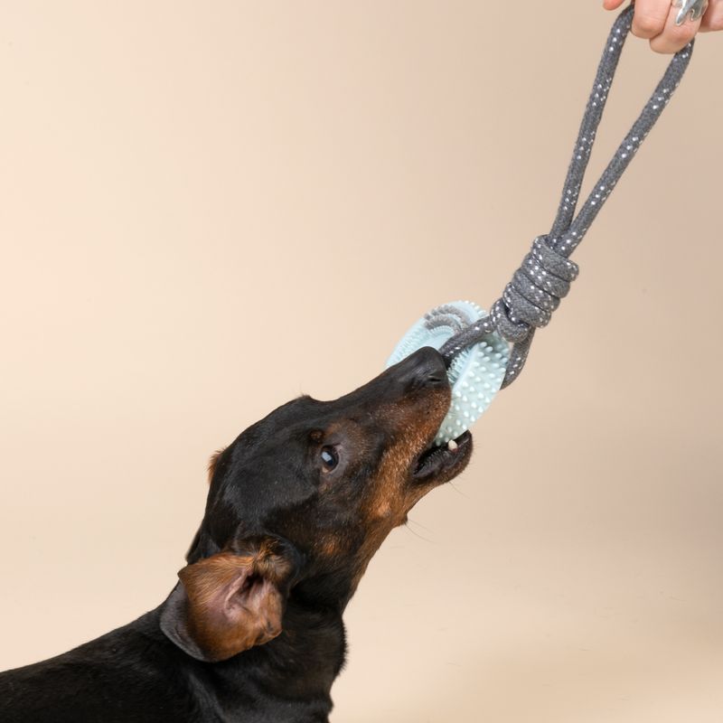 TIAKI Spiky Wheel Chew Toy with Rope approx. 30 x 9 x 4 cm (L x W x H)