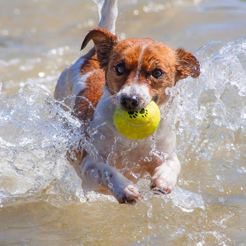 Karlie Tennis Ball Set 12 balls, 6cm (diameter)