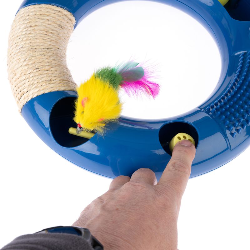 TIAKI Interactive Circuit Cat Toy 1 Toy