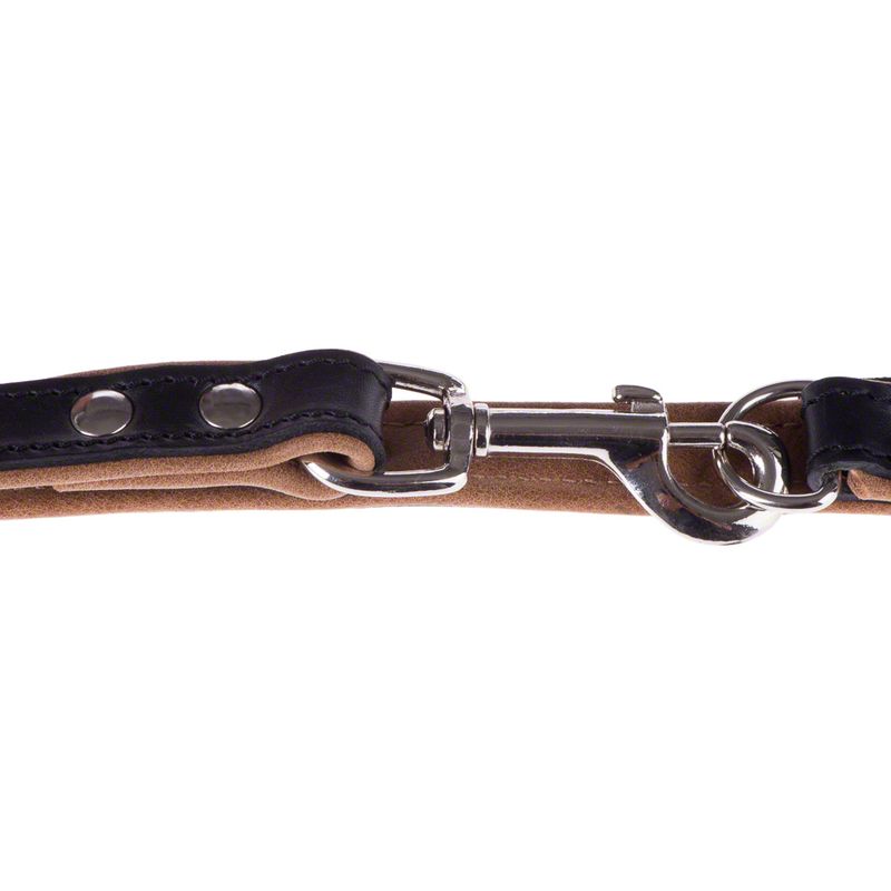 Heim Leather Dog Lead - Stars 200cm