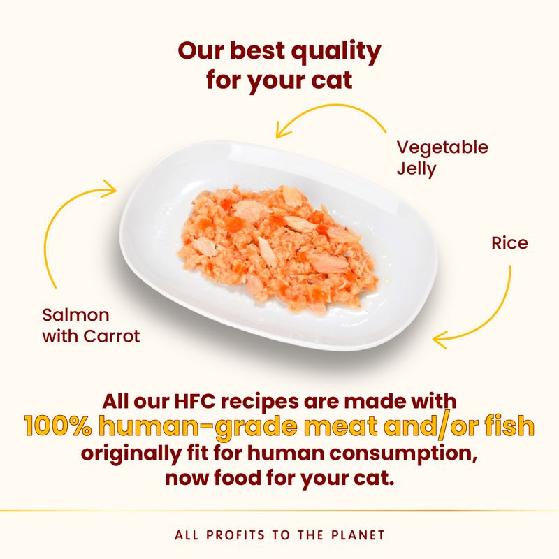 Almo Nature HFC Natural Cans Saver Pack 24 x 70g Atlantic Tuna