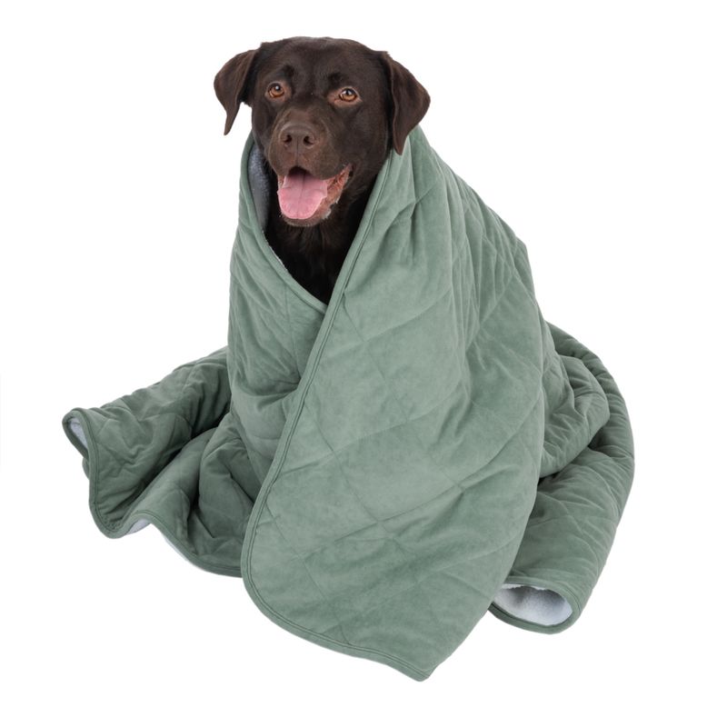 Modern Living Dog Blanket Victoria L 140 x W 125 cm