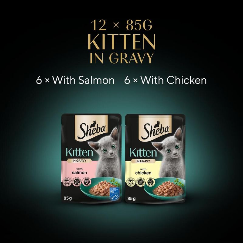 Sheba Kitten Pouches Varieties 12 x 85g Mixed Selection in Gravy (Salmon, Chicken)