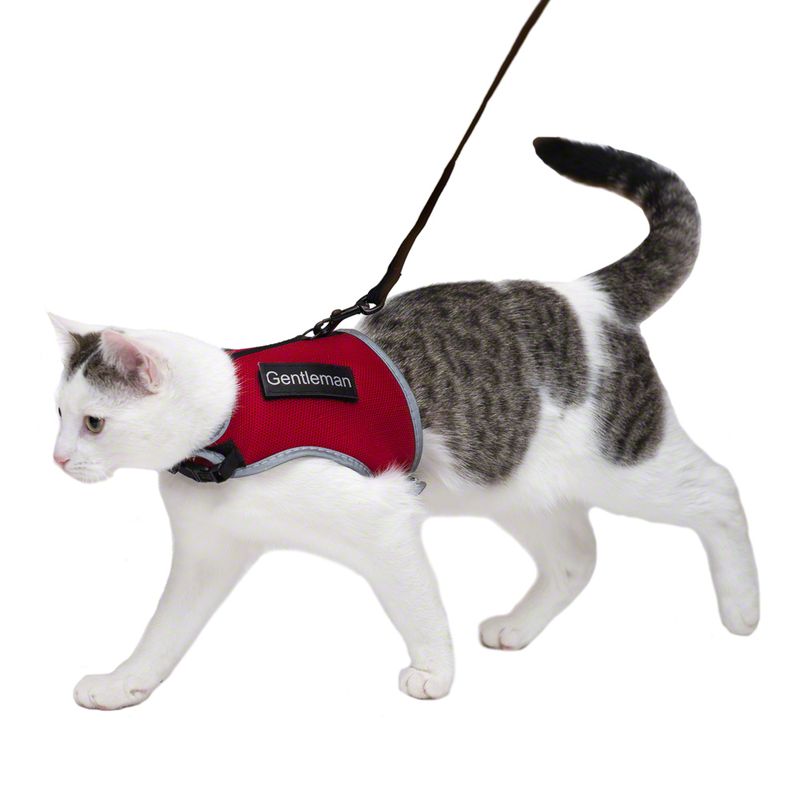 Trixie XCat Harness with Lead and Exclusive Stickers Black