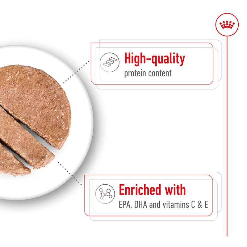 Royal Canin Medium Ageing in Loaf 12 x 410g