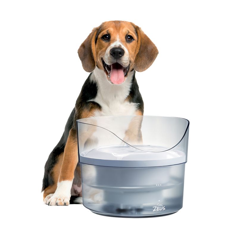 Zeus Fresh & Clear Drinking Fountain with Splash Guard Drinking fountain 1.5l