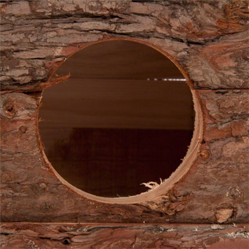 Log Cabin with Roof Terrace for Small Pets 43 x 28 x 22 cm (L x W x H)