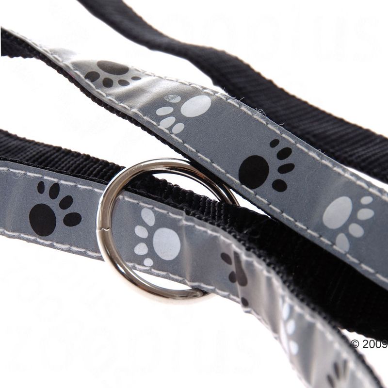 Trixie Reflective Dog Lead - Silver 200cm