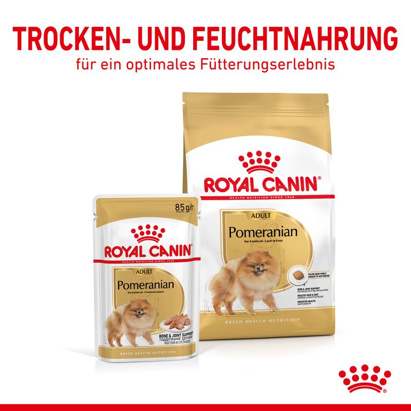 Royal Canin Pomeranian Adult Loaf 12 x 85g