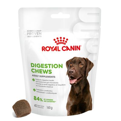 Royal Canin Digestion Adult Supplement Chews 160g (40 pieces)
