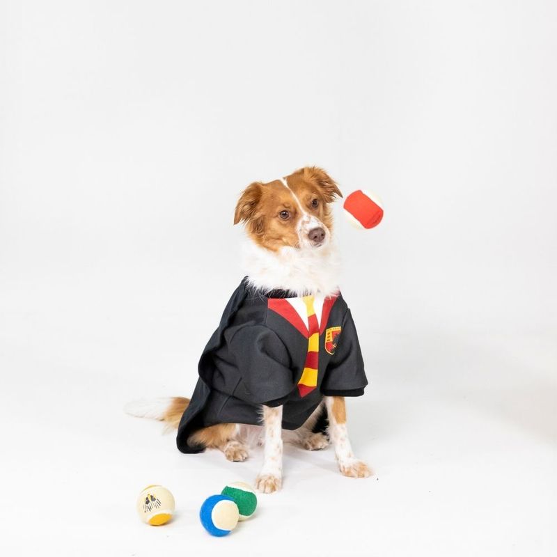 Harry Potter Hogwarts Tennis Ball Set 4 Balls (diameter 6.3cm each)