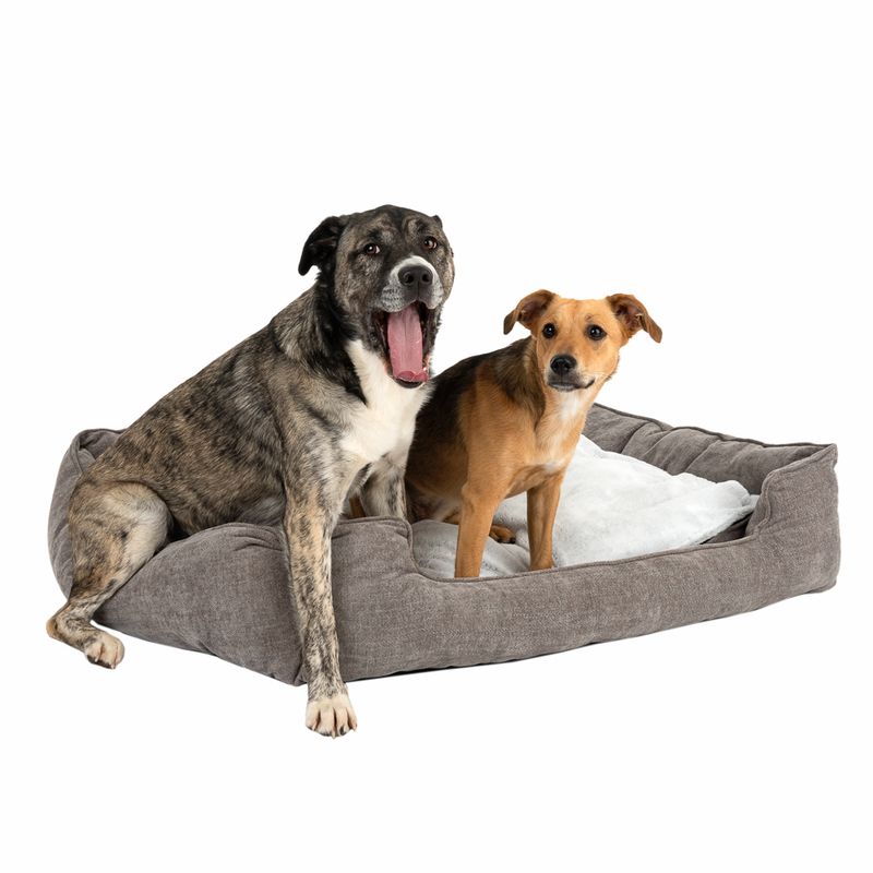 Dog Bed Austin Memory Foam 85 x 75 x 22cm (L x W x H)