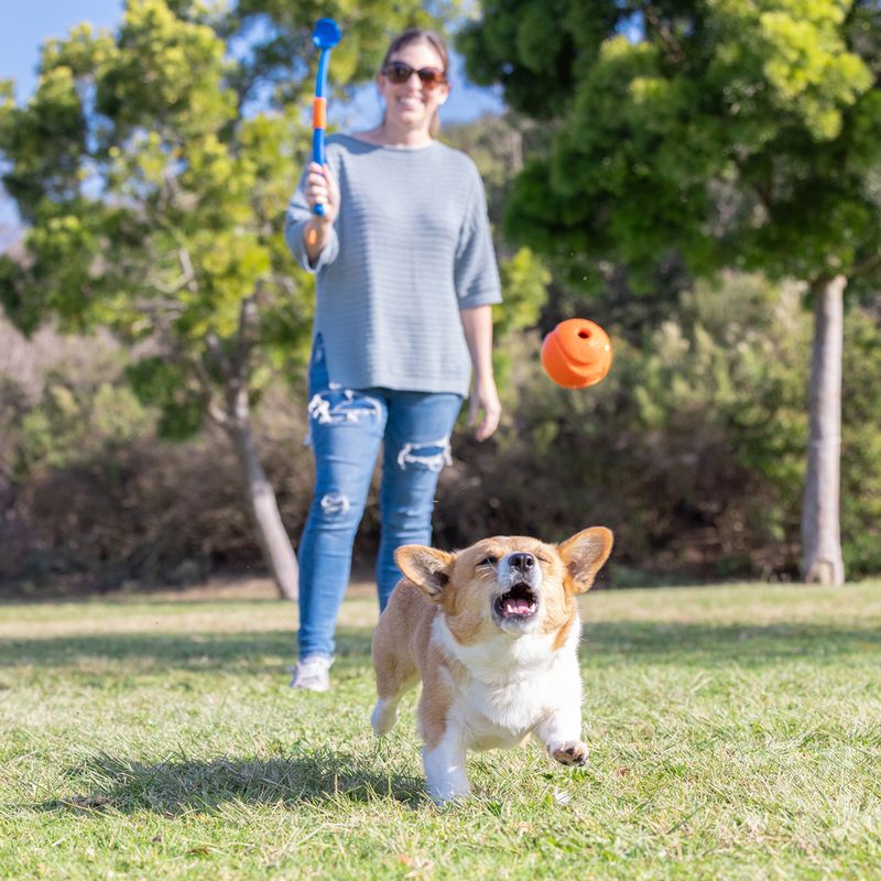 Chuckit! Fetch & Fold Mini Ball Launcher Size L: 48.9cm