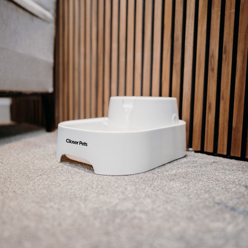 Dog Mate Pet Fountain 6l