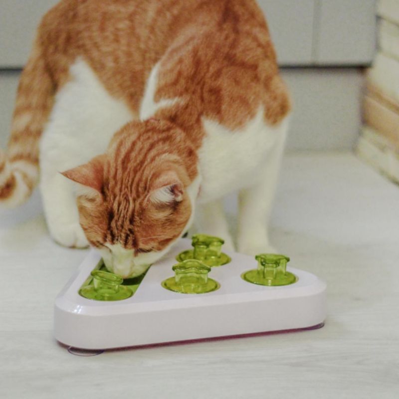 Ferplast Trea Intelligence Toy 24.5 x 22 x 6cm (L x W x H)