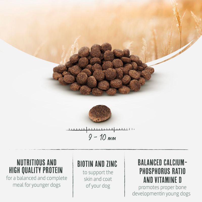 Briantos Junior 14kg