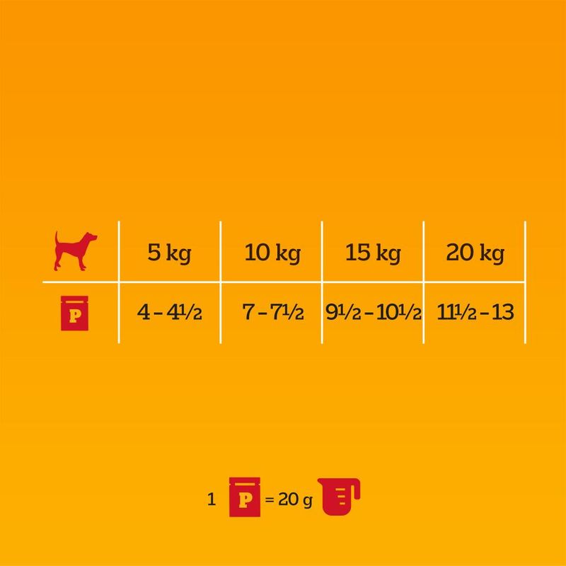 Pedigree Adult Pouch in Jelly Multipack Mixed Selection in Jelly (12 x 100g)