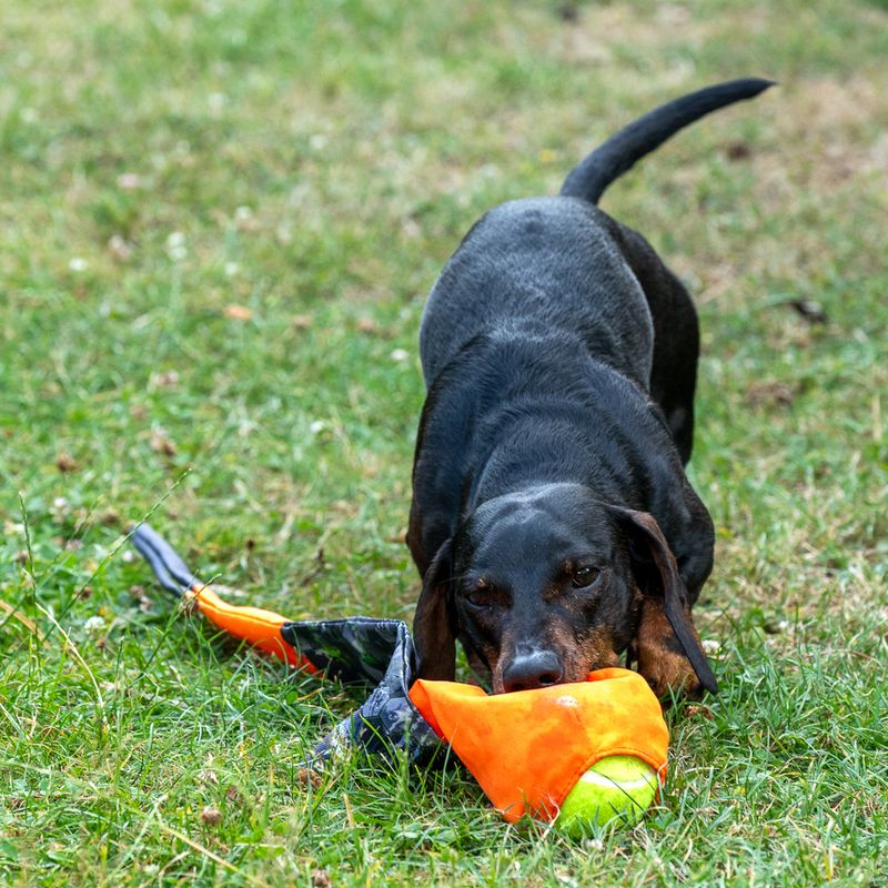 TIAKI Dog Toy Throwing Ball with Catching Tail approx. diameter 8 x (L) 85 cm