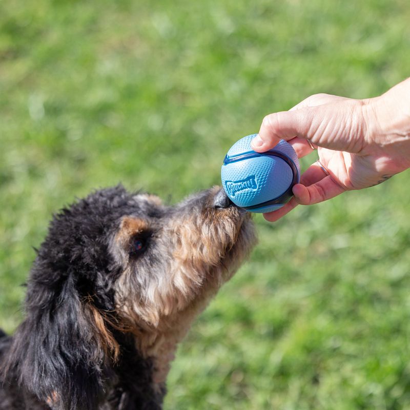 Chuckit! Sniff Fetch Balls Canister 4 balls, 6.5cm (W)