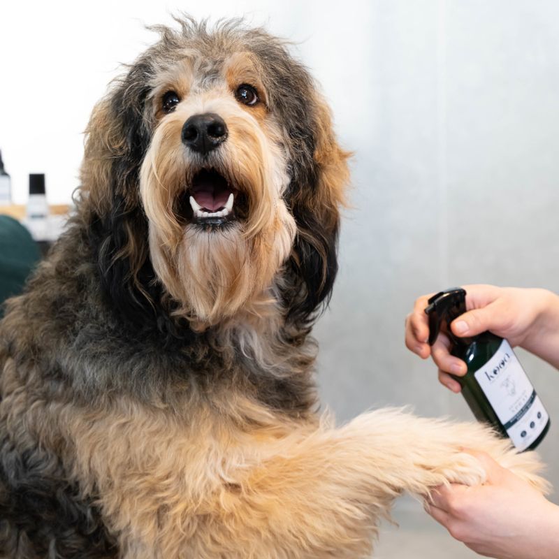 kooa Detangling Spray 300ml