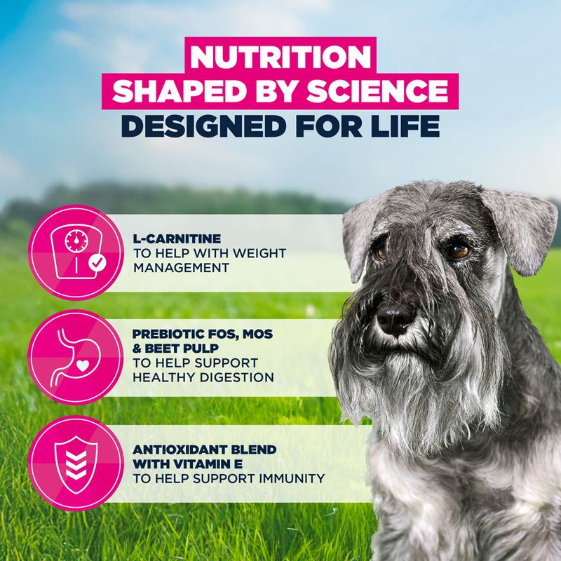 Eukanuba Premium Nutrition Senior Small Breed Chicken 3kg
