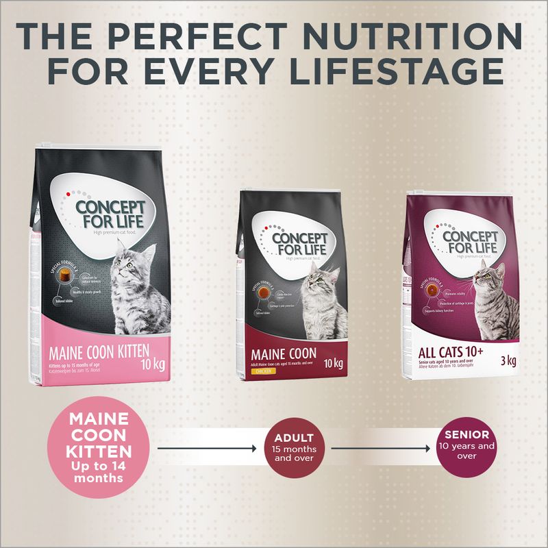 Concept for Life Maine Coon Kitten 400g