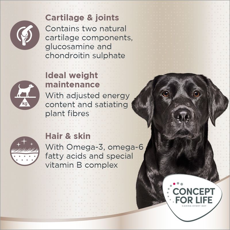 Concept for Life Labrador Retriever Adult 1.5kg