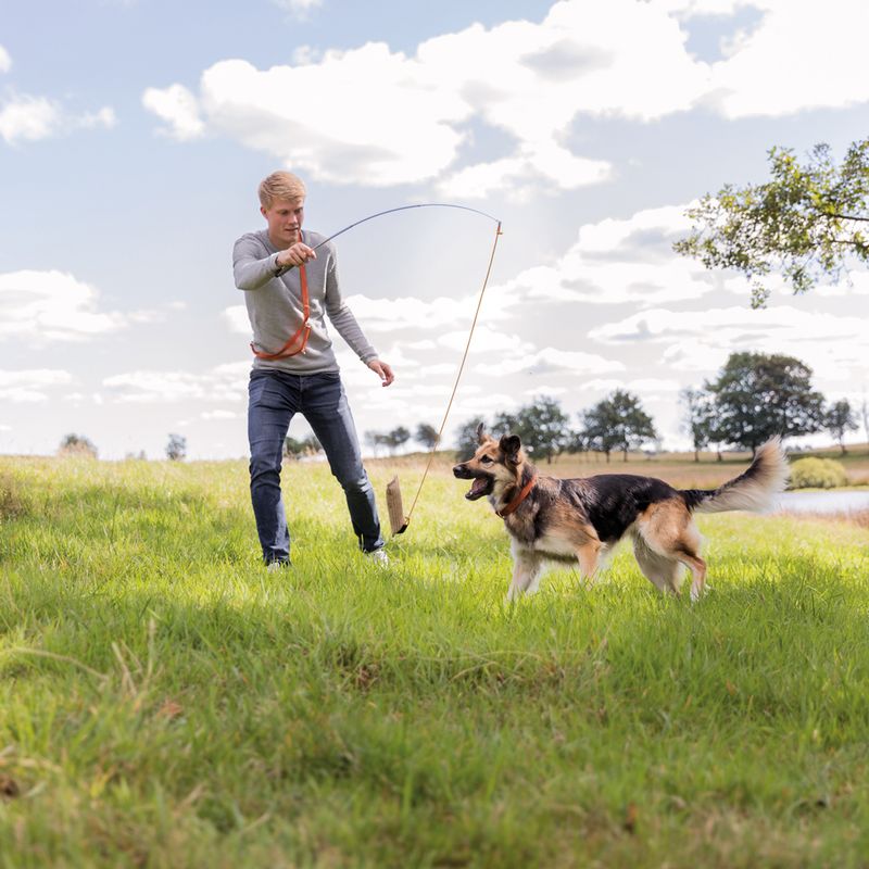 Trixie bait trap approx. L 230 cm