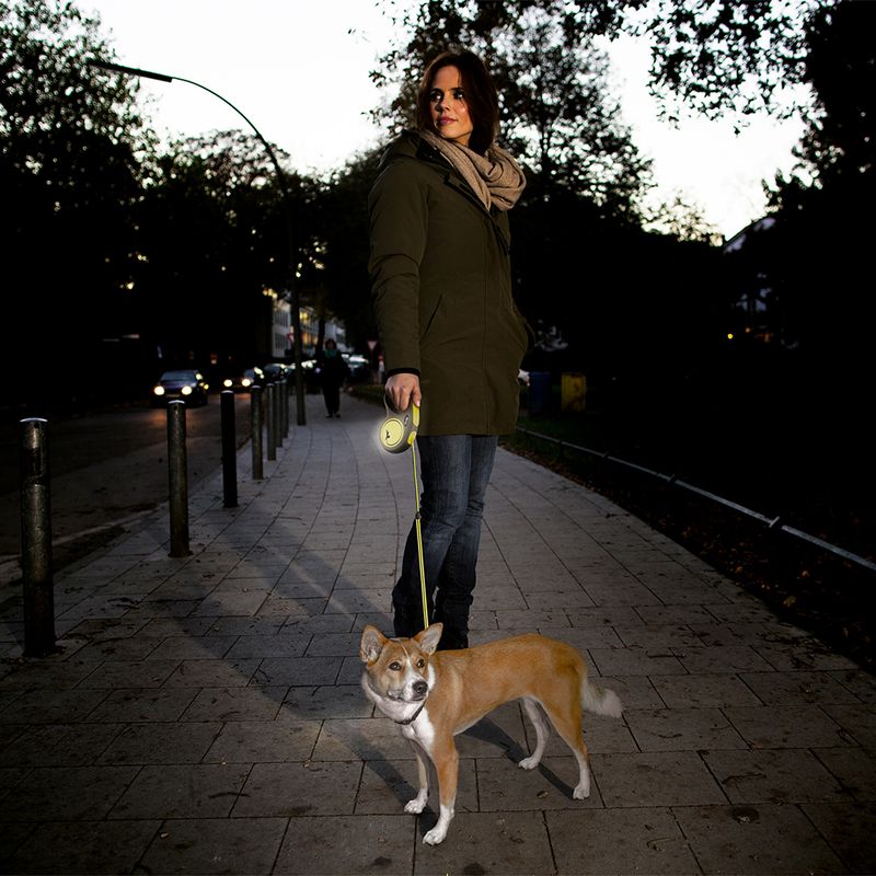 flexi New Neon Harness 5m Lead M: up to 25kg