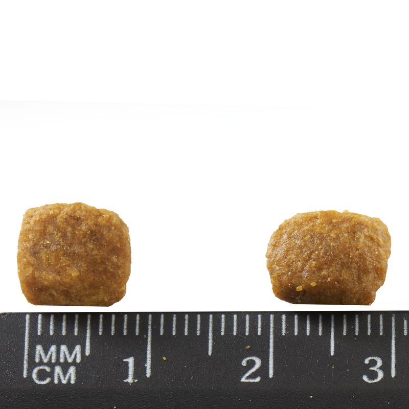 PURINA ONE Adult Salmon 1,5 kg