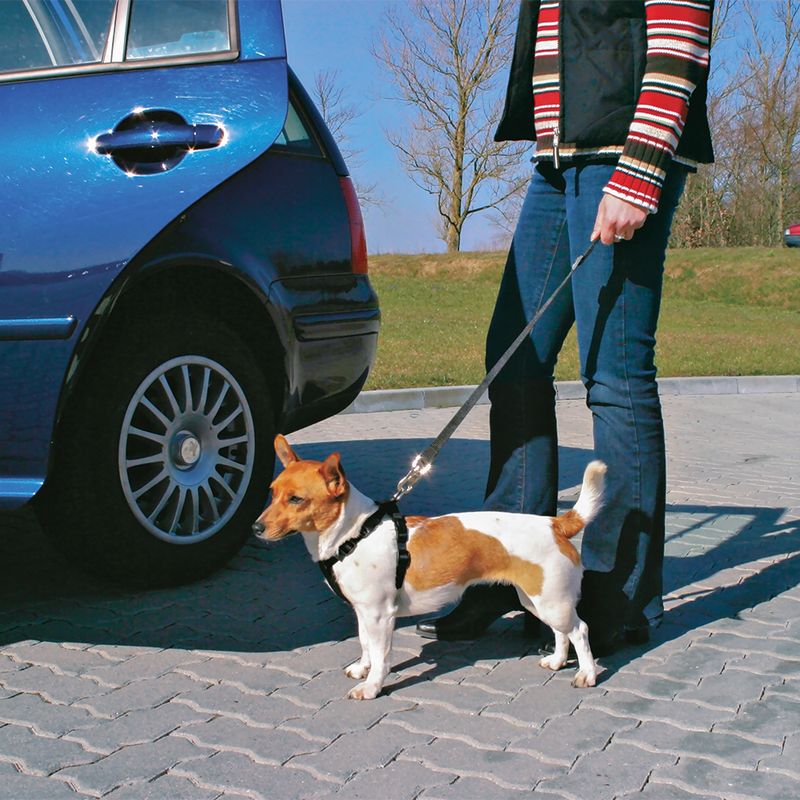 Trixie Friends on Tour Car Safety Belt for Dogs 30-45cm x 20mm (L x W)