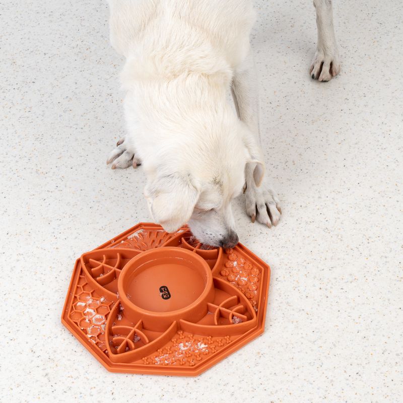 TIAKI Silicone Mandala Slow Feeder 200ml