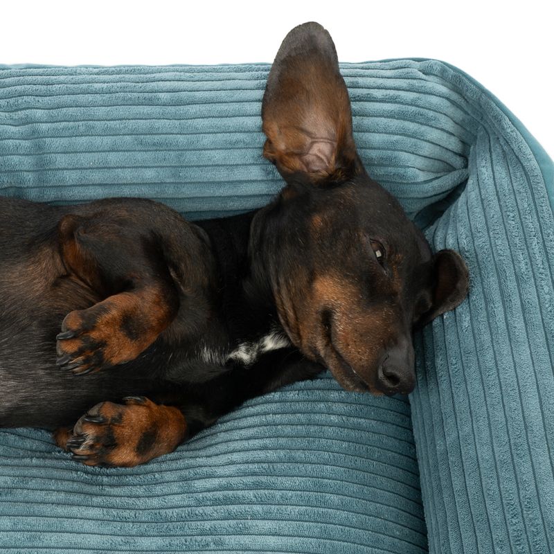 Modern Living Portland Dog Bed Size M: 80 x 60 x 16 cm (L x W x H)